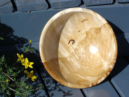 birch burl small  with turquoise 
