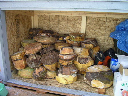 some bowl blanks