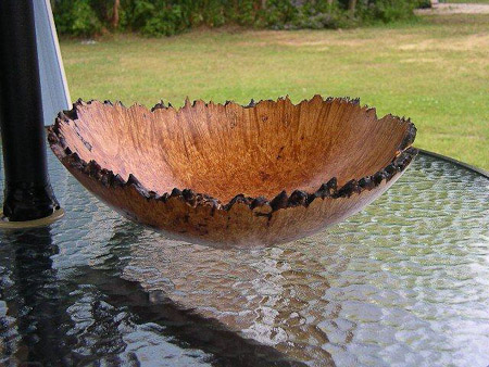 maple burl