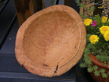 same arbutus root burl